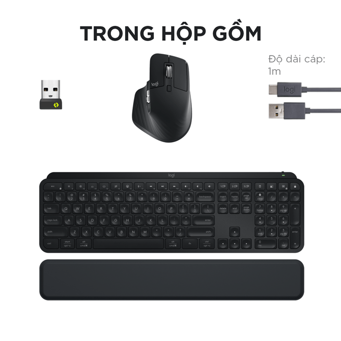 combo-mx-keys-s-logitech 8